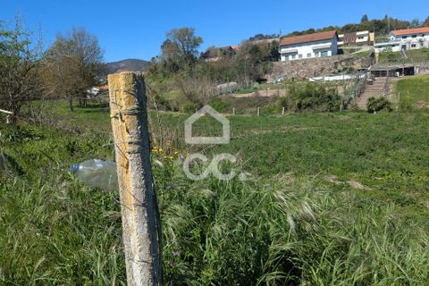 Helårsgrund i Serzedelo, Braga, Serzedelo - € 59.500 | Ref: 261/T/03950 - foto 4