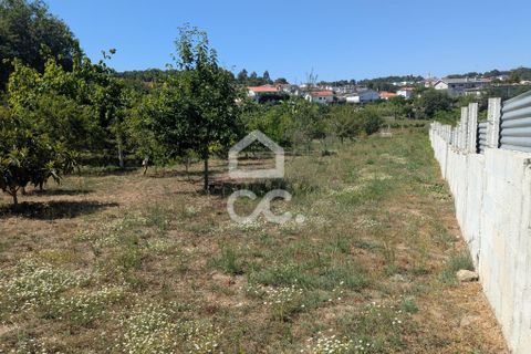 Helårsgrund i Serzedelo, Braga, Serzedelo - € 59.500 | Ref: 261/T/03950 - foto 9