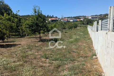 Helårsgrund i Serzedelo, Braga, Serzedelo - € 59.500 | Ref: 261/T/03950 - foto 10