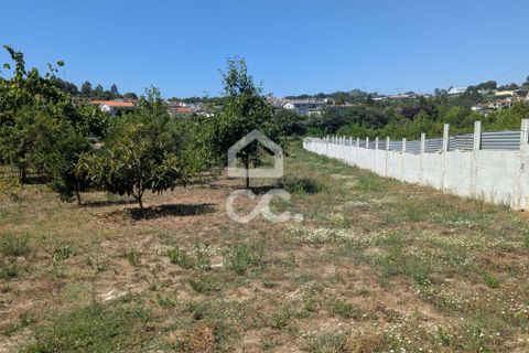 Helårsgrund i Serzedelo, Braga, Serzedelo - € 59.500 | Ref: 261/T/03950 - foto 11