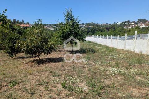 Helårsgrund i Serzedelo, Braga, Serzedelo - € 59.500 | Ref: 261/T/03950 - foto 12