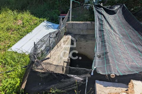 Helårsgrund i Serzedelo, Braga, Serzedelo - € 59.500 | Ref: 261/T/03950 - foto 17