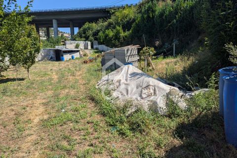 Helårsgrund i Serzedelo, Braga, Serzedelo - € 59.500 | Ref: 261/T/03950 - foto 19