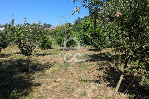 Helårsgrund i Serzedelo, Braga, Serzedelo - € 59.500 | Ref: 261/T/03950 - foto 21