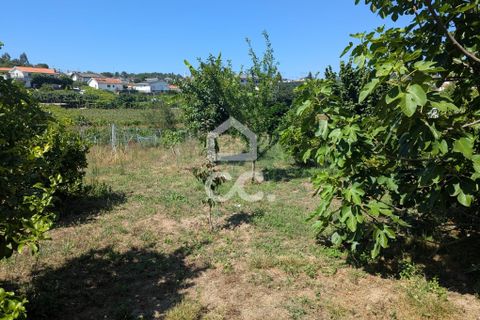 Helårsgrund i Serzedelo, Braga, Serzedelo - € 59.500 | Ref: 261/T/03950 - foto 22