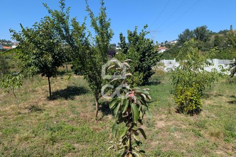 Helårsgrund i Serzedelo, Braga, Serzedelo - € 59.500 | Ref: 261/T/03950 - foto 23