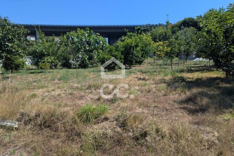 Helårsgrund i Serzedelo, Braga, Serzedelo - € 59.500 | Ref: 261/T/03950 - foto 25