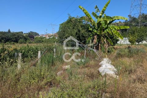 Helårsgrund i Serzedelo, Braga, Serzedelo - € 59.500 | Ref: 261/T/03950 - foto 26