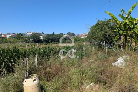 Helårsgrund i Serzedelo, Braga, Serzedelo - € 59.500 | Ref: 261/T/03950 - foto 30