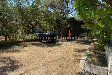 Villa i Loreto Aprutino, Pescara, Loreto Aprutino - € 65.000 | Ref: PNN889 - foto 16
