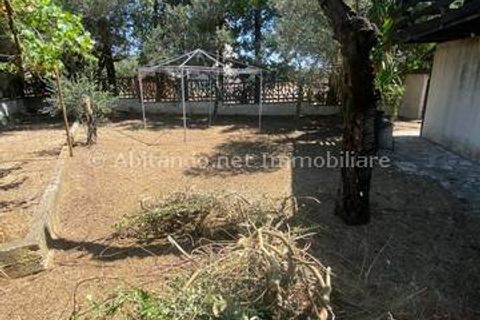 Villa i Loreto Aprutino, Pescara, Loreto Aprutino - € 65.000 | Ref: PNN889 - foto 17