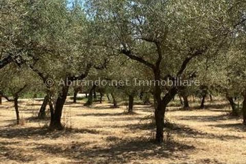 Villa i Loreto Aprutino, Pescara, Loreto Aprutino - € 65.000 | Ref: PNN889 - foto 20