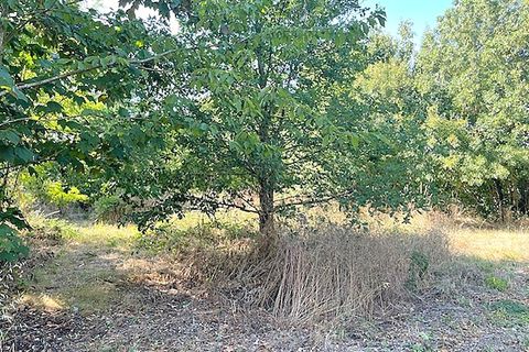 Helårsgrund i Ferrieres, Charente-Maritime, Ferrieres - € 60.990 | Ref: 415846BCR - foto 3