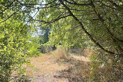 Helårsgrund i Ferrieres, Charente-Maritime, Ferrieres - € 60.990 | Ref: 415846BCR - foto 4