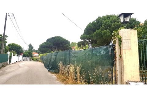 Byhus i Coimbra, Coimbra, Coimbra - € 650.000 | Ref: 15576N - foto 21