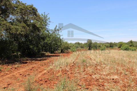 Helårsgrund i Tavira, Faro, Tavira - € 26.000 | Ref: SÒL570 - foto 2