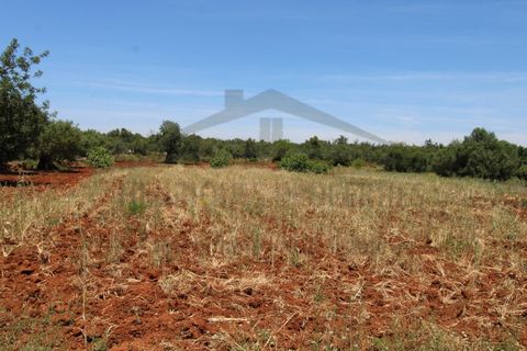Helårsgrund i Tavira, Faro, Tavira - € 26.000 | Ref: SÒL570 - foto 3