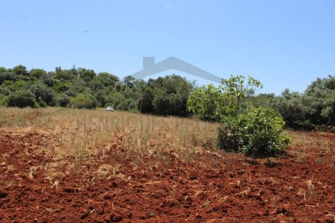 Helårsgrund i Tavira, Faro, Tavira - € 26.000 | Ref: SÒL570 - foto 4