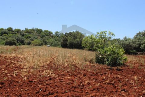 Helårsgrund i Tavira, Faro, Tavira - € 26.000 | Ref: SÒL570 - foto 5