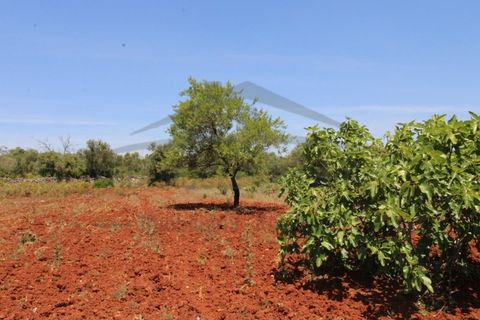 Helårsgrund i Tavira, Faro, Tavira - € 26.000 | Ref: SÒL570 - foto 7