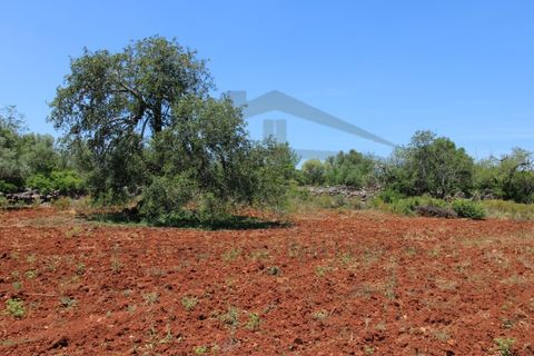 Helårsgrund i Tavira, Faro, Tavira - € 26.000 | Ref: SÒL570 - foto 8