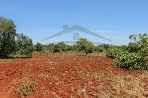 Helårsgrund i Tavira, Faro, Tavira - € 26.000 | Ref: SÒL570 - foto 9