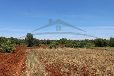 Helårsgrund i Tavira, Faro, Tavira - € 26.000 | Ref: SÒL570 - foto 10