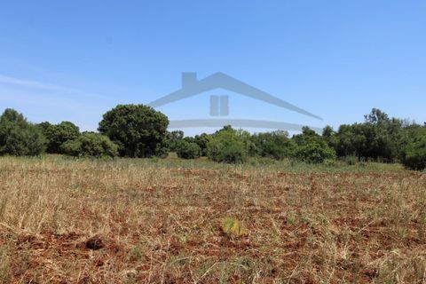 Helårsgrund i Tavira, Faro, Tavira - € 26.000 | Ref: SÒL570 - foto 11
