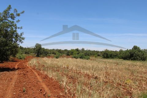 Helårsgrund i Tavira, Faro, Tavira - € 26.000 | Ref: SÒL570 - foto 12