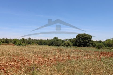 Helårsgrund i Tavira, Faro, Tavira - € 26.000 | Ref: SÒL570 - foto 13
