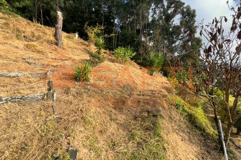 Villa i Caminha, Viana do Castelo, Caminha - € 359.000 | Ref: SAFTI:007016 - foto 19