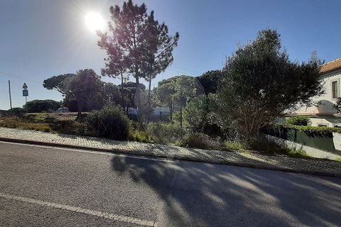 Helårsgrund i Almancil, Faro, Almancil - € 2.075.000 | Ref: 122001090-2 - foto 4