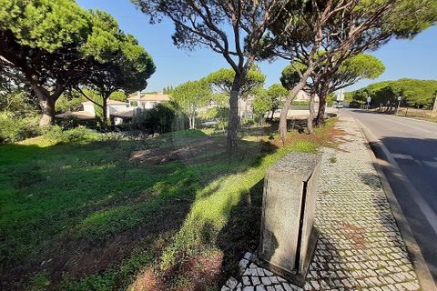 Helårsgrund i Almancil, Faro, Almancil - € 2.075.000 | Ref: 122001090-2 - foto 5