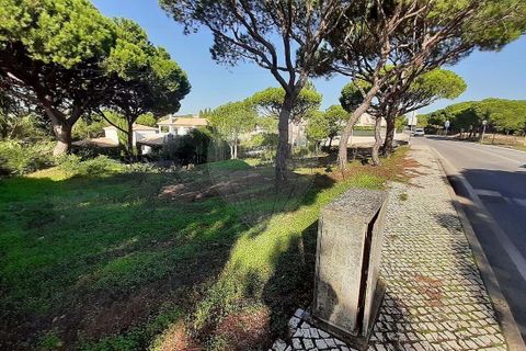Helårsgrund i Almancil, Faro, Almancil - € 2.075.000 | Ref: 122001090-2 - foto 6
