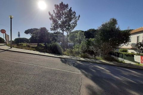 Helårsgrund i Almancil, Faro, Almancil - € 2.075.000 | Ref: 122001090-2 - foto 7