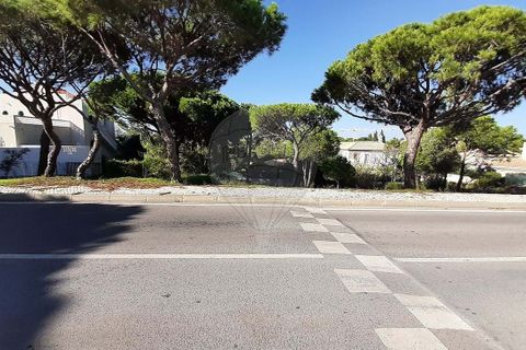 Helårsgrund i Almancil, Faro, Almancil - € 2.075.000 | Ref: 122001090-2 - foto 11