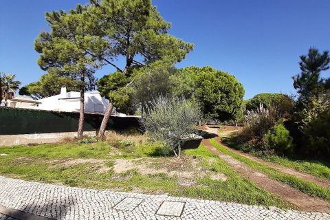 Helårsgrund i Almancil, Faro, Almancil - € 1.975.000 | Ref: 122001090-4 - foto 4