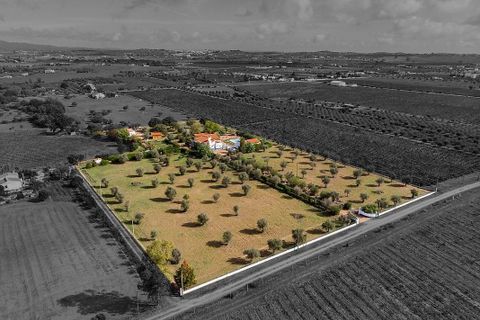Farm hus i Redondo, Evora, Redondo - € 650.000 | Ref: 120171424-15 - foto 4