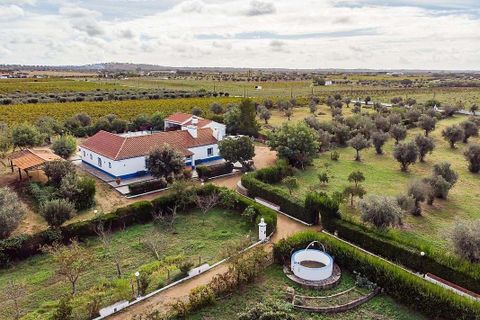 Farm hus i Redondo, Evora, Redondo - € 650.000 | Ref: 120171424-15 - foto 6