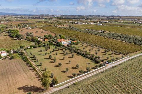 Farm hus i Redondo, Evora, Redondo - € 650.000 | Ref: 120171424-15 - foto 7