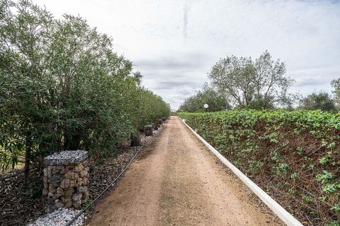 Farm hus i Redondo, Evora, Redondo - € 650.000 | Ref: 120171424-15 - foto 12