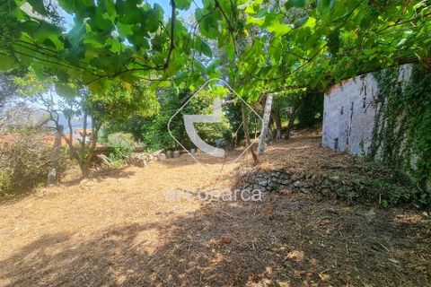 Byhus i Ponte de Lima, Viana do Castelo, Ponte de Lima - € 100.000 | Ref: AV6413 - foto 6