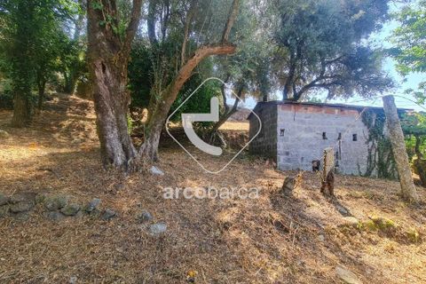 Byhus i Ponte de Lima, Viana do Castelo, Ponte de Lima - € 100.000 | Ref: AV6413 - foto 10