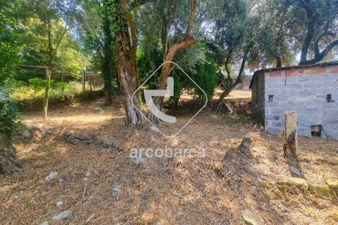 Byhus i Ponte de Lima, Viana do Castelo, Ponte de Lima - € 100.000 | Ref: AV6413 - foto 12