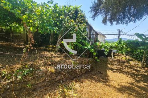 Byhus i Ponte de Lima, Viana do Castelo, Ponte de Lima - € 100.000 | Ref: AV6413 - foto 13