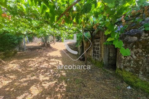 Byhus i Ponte de Lima, Viana do Castelo, Ponte de Lima - € 100.000 | Ref: AV6413 - foto 23