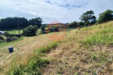 Terreno en Calheta, Sao Jorge, Calheta - € 45.000 | Ref: T1016 - photo 8