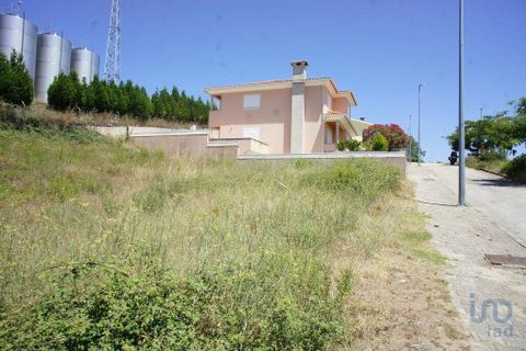 Helårsgrund i Murca, Vila Real, Murca - € 38.325 | Ref: 101168 - foto 6
