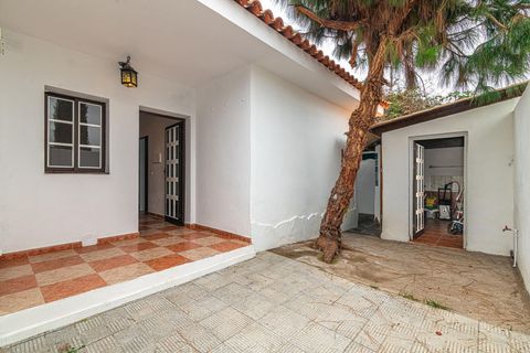 Villa a La Orotava, Tenerife, La Orotava - € 1.000.000 | Ref: 103217677 - foto 22