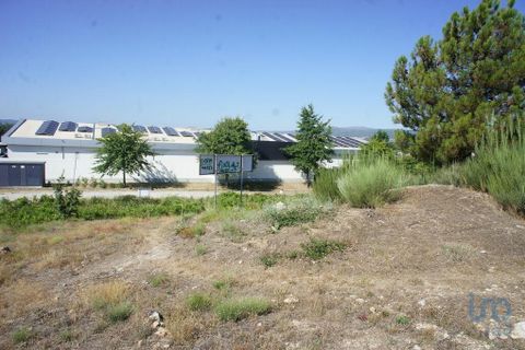 Helårsgrund i Chaves, Vila Real, Chaves - € 3.097.500 | Ref: 100886 - foto 12
